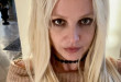 cache/resized/2c228470117bc7b852a51e7f067fe366.jpg