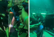 cache/resized/2ccb466caddda3e36ef551e485917b68.jpg
