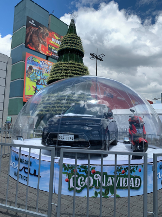 Celebración de la Navidad Sostenible