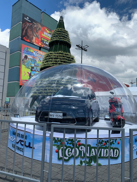 Celebración de la Navidad Sostenible