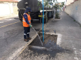 Con más árboles mejora el medio ambiente de Cotocollao