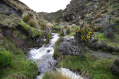 La protección de fuentes hídricas garantiza la provisión de agua presente y futura de Quito