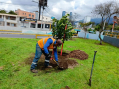 La municipalidad purifica el ambiente y embellece cada rincón de la ciudad
