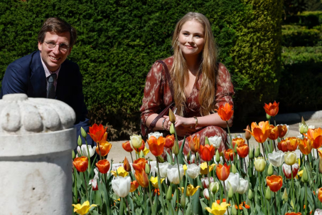 Madrid florece con tulipanes reales